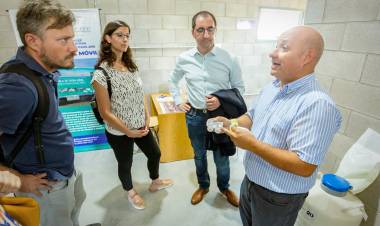 Estimulan la formación de cluster caprino con inseminación