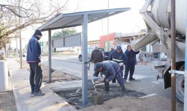  Instalaron más de 60 nuevos refugios de colectivo 