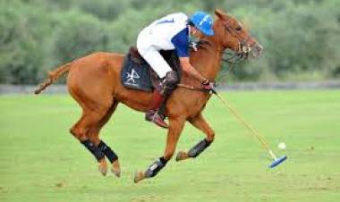 Subvaluación en caballos de Polo de San Luis. Declaraban venta por U$S 802 dólares por caballo y valían más U$S 11 mil al exportarlos.