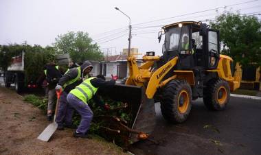 Tareas de limpieza tras el temporal en La Ribera
