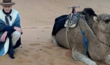 RIGAU: los que se se tienen que esconder son los que roban. Lo mío es genuino, Bazla cínico 