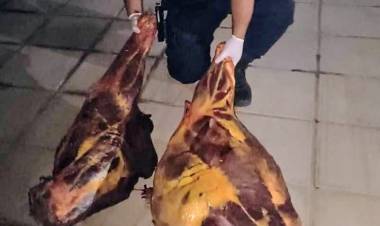 Poggi: sigue empobreciendo y hay desesperación. Carnean un caballo en Mercedes para comer. Desastrosa situación social . Un Policía lloró de ver la situación.