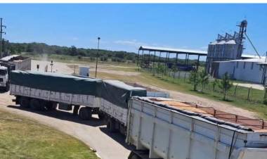 Caída de la exportación en San Luis . 4,1 del 2025 contra él peor 2024. El cierre de 2025 va a ser crítica.No hay política industrial.