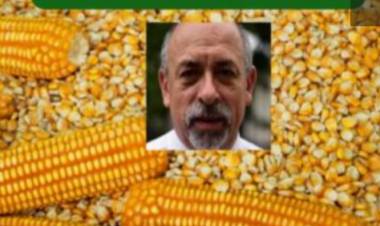 Bazla Maíz Gate: Oviedo pedirá prisión preventiva, si sigue en él cargo. Podría seguir truchando con el manejo de la Secretaría como lo ha hecho hasta ahora .Primer Ministro de Poggi acusado de corrupción.