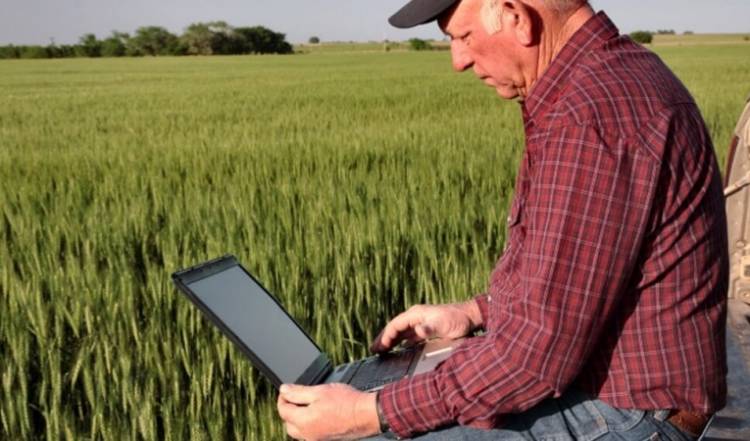 EA y el campo: la eficiencia en la gestión empresarial agropecuaria