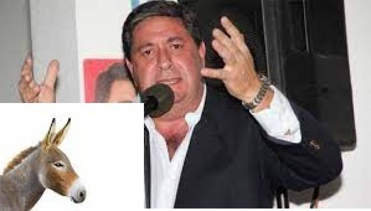 La mentira de Pipo Rossi.Un trànsfuga polìtico que es burro.Para ellos la pandemia no fue miseria