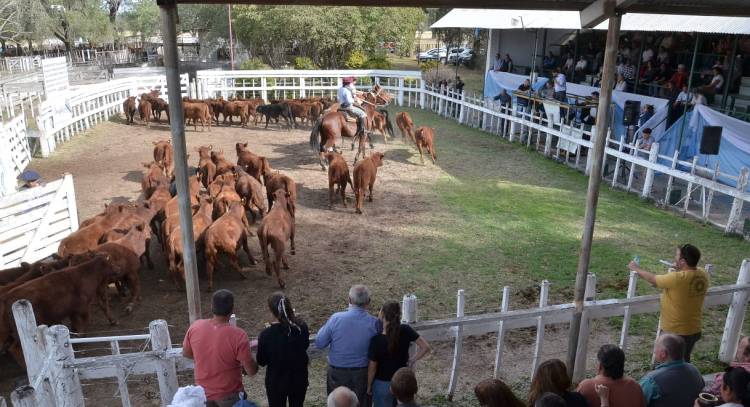 Rural Río Quinto: remate con valores muy altos 