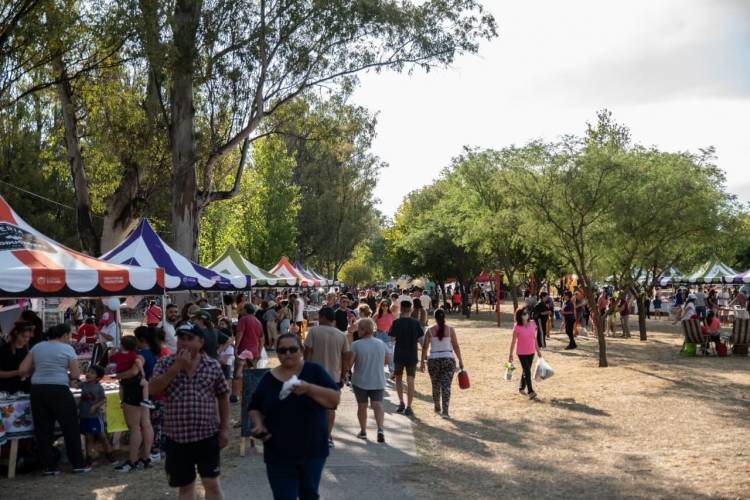 Feria en El Lago. Imperdible de 12 a 18 Villa Mercedes 