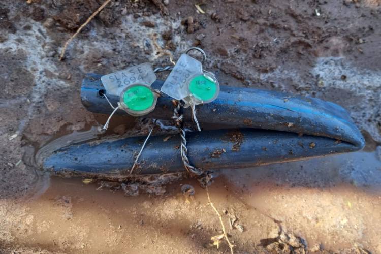 Agua cruda: anulan dos conexiones clandestinas
