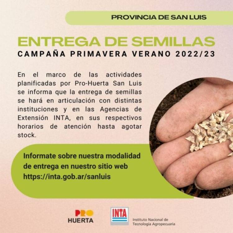 Prohuerta San Luis: entrega de semillas 
