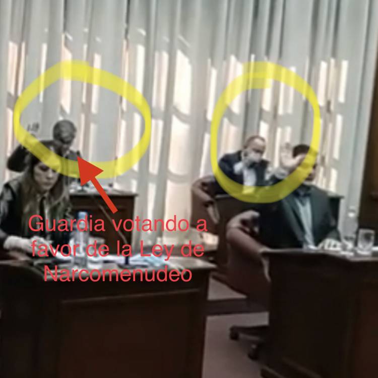 Guardia”no soy poggista soy realista por eso voté la Ley de Narcomenudeo “ Las contradicciones del poggismo que la sociedad ya visualiza 