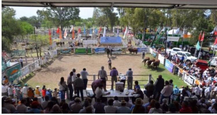 75° EXPO RURAL SAN LUIS: INTENSOS PREPARATIVOS 