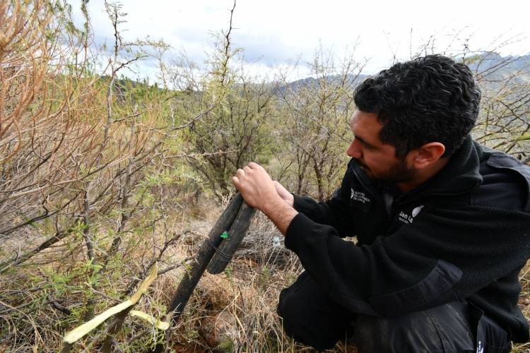 PISCU YACO: suspendieron una conexión clandestina