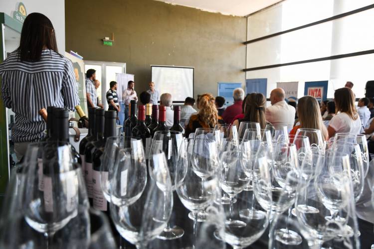 La vitivinicultura en San Luis toma fuerza