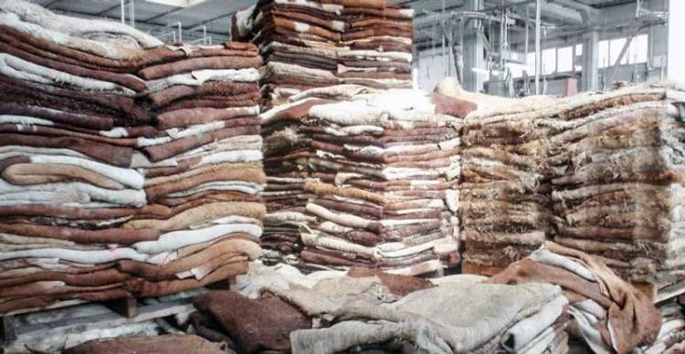 Cueros: un negocio con idas y vueltas