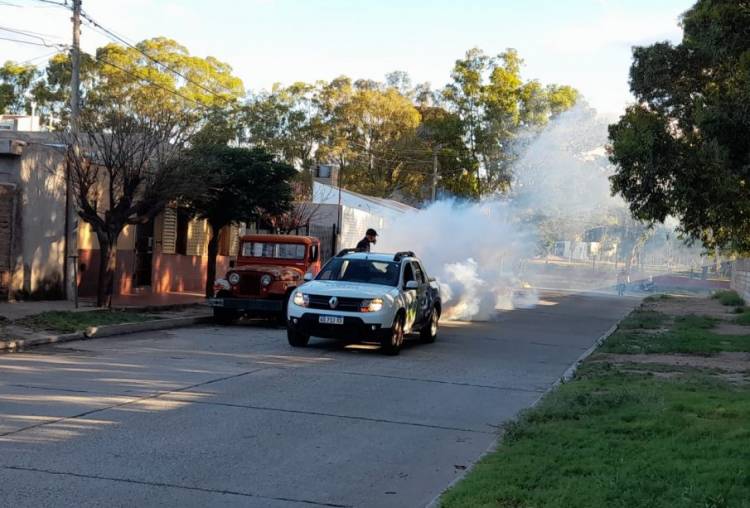 Campaña de fumigación nocturna en la ciudad capital