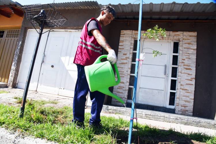 Más de 13.000 árboles plantados en la ciudad de San Luis