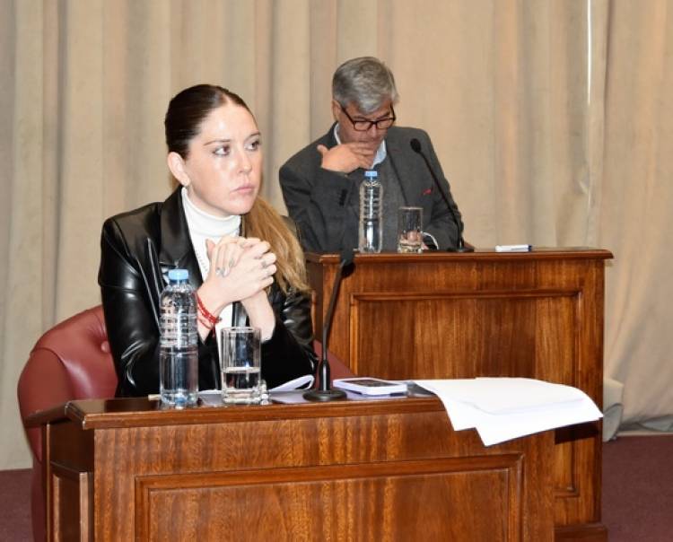 El PJ dió vuelta la página.Fortalecimiento laboral en Senadores y Diputados , votado en contra por la oposición que lo pedía y evidencia el cinismo .