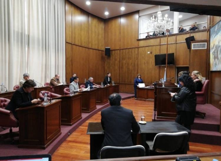 El comportamiento político del poggismo arrinconado.Votaron en contra de que  se blanquee una situación que ellos reclamaban para Inclusión Social.La payasada de Bazla que ya pelea por un morral.