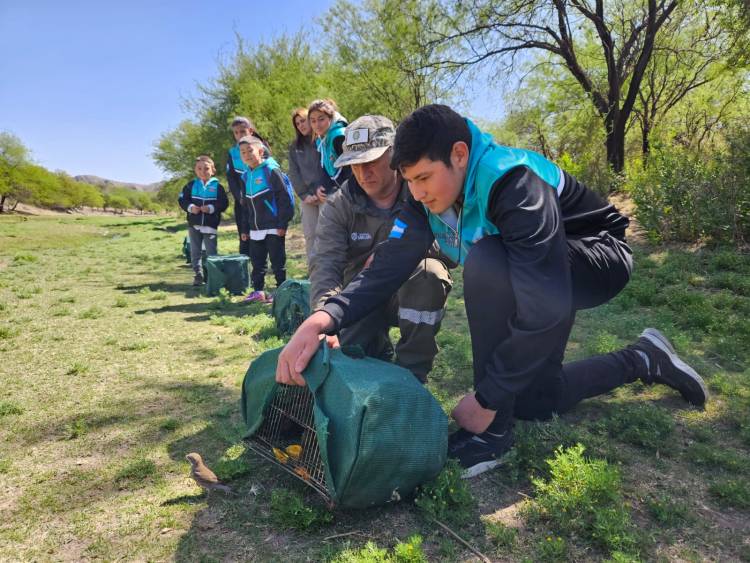 BAJO DE VÉLIZ: liberaron aves decomisadas en la Reserva 