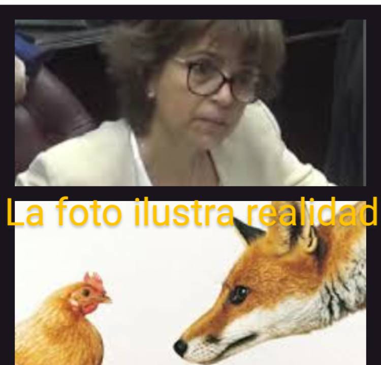 La ex Vice Rectora Trucha de la ULP Gallardo, pretendiendo dar clases de rectitud y moral. El peronismo empieza a abroquelarse.