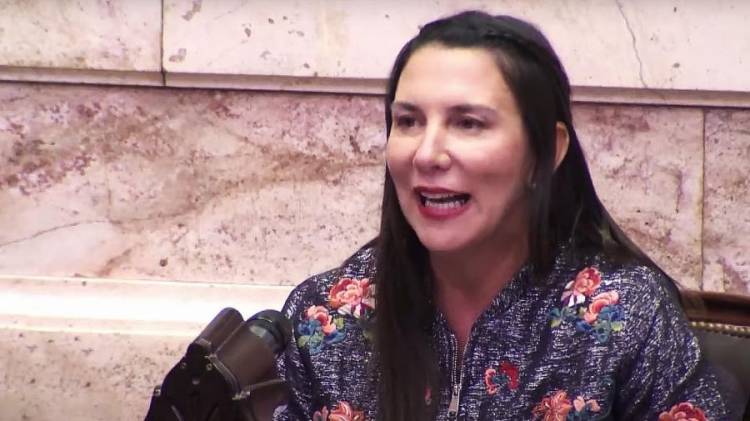 Bachey" yo defiendo los intereses del Gobierno Provincial de Poggi en el Parlamento Nacional " D Alessandro había dicho que ningún Legislador de San Luis lo hacía.