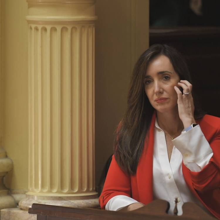 Fuerte jugada de poder contra MILEI.Rechazaron el DNU y define Diputados . Villarroel fue a fondo 