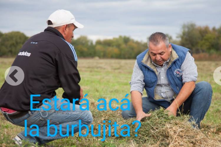 Una burbuja dice ridículo San Luis Agua, la causa de falta agua en el Sur de la Ciudad.Mandaron al Chapulín Debandi a buscarla .La encontrará? A Hissa lo insultan hasta en Turco . Desastre.