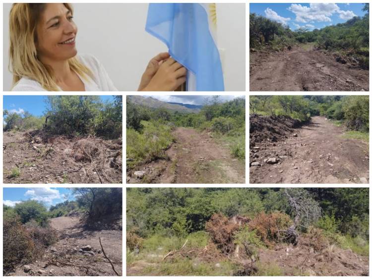 Ferrarotti, la que destapó la olla de desmontes en la cara de la gestión Alvarez Pinto -Rodriguez. El apuro de la hermana del Pampita de tapar todo en él Concejo . Habría denuncias penales.Muy burdo el negociado.