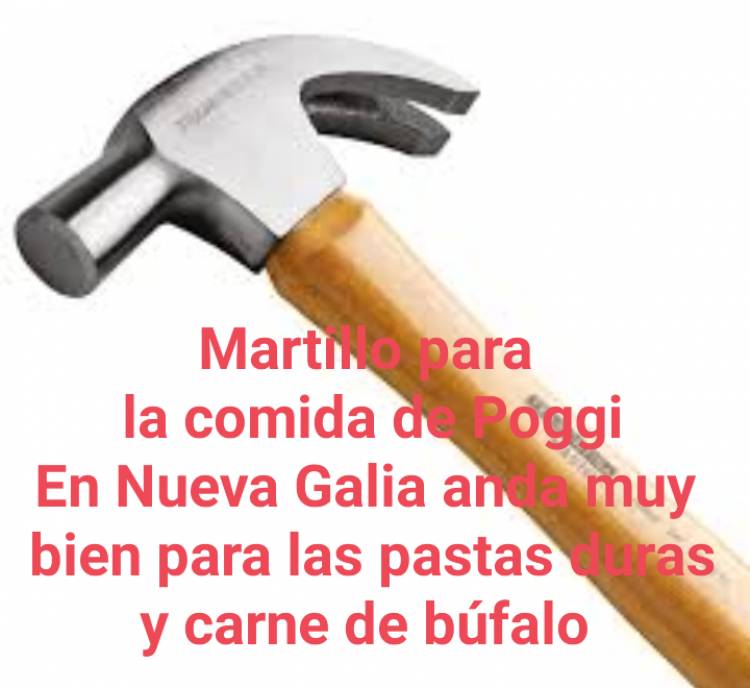Envenamiento de chicos .Suspenden el PANE en dos Escuelas, pero él desastre de quienes son los proveedores punteros políticos es absoluto.En Nueva Galia ravioles como piedra.
