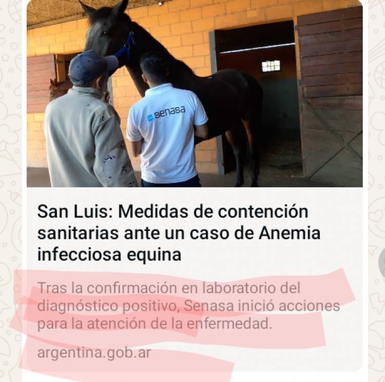 Confirmo Nación que en San Luis hay Anemia Equina.Lo había adelantado EA.Funcionarios Nacionales que callaron, premio Dupuy de por medio.. Escándalo Sanitario sin precedentes.