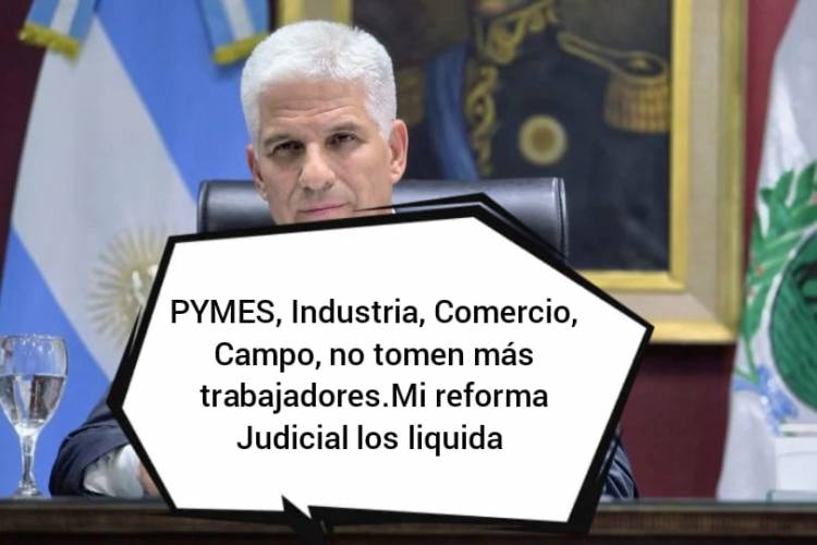 La reforma Judicial de Poggi, liquida a PYMES , a la Industria y al Comercio .La perentoriedad es absoluta.La aplicación sobre juicios pendientes es inconstitucionalidad 