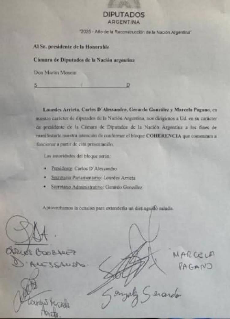 D Alessandro  dobla la apuesta y rompió el bloque de Milei. 
