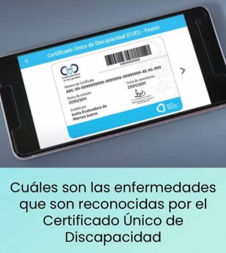 Cuales son las enfermedades para Discapacidad CUD.Forma de solicitarlo 