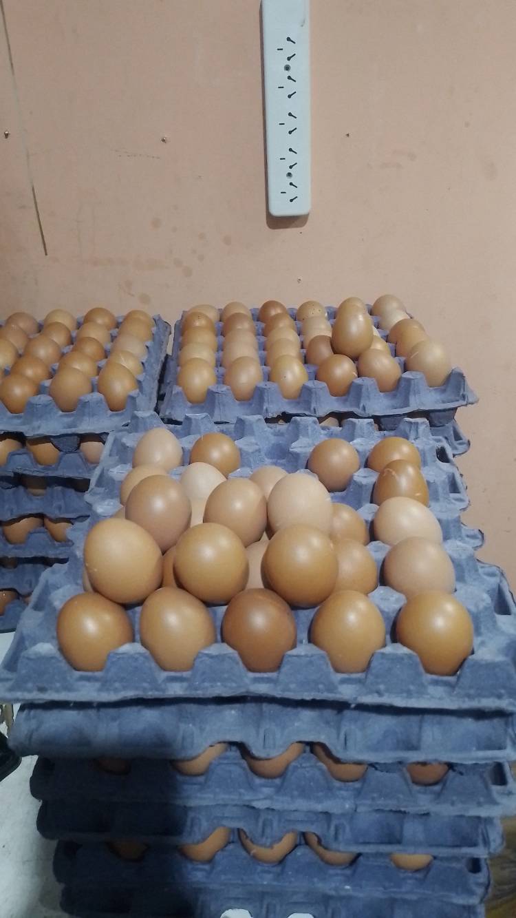 San Luis: El 88 por ciento de los asalariados compra alimentos ,a crédito tarjeta. El sector público,, él peor