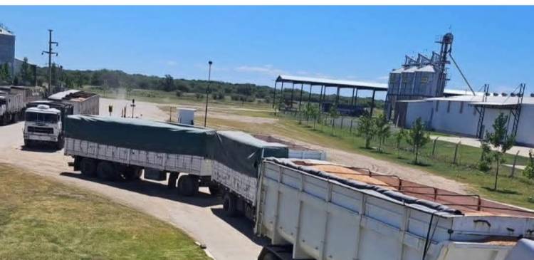 Caída de la exportación en San Luis . 4,1 del 2025 contra él peor 2024. El cierre de 2025 va a ser crítica.No hay política industrial.